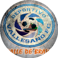 Logo Bravos de Valle